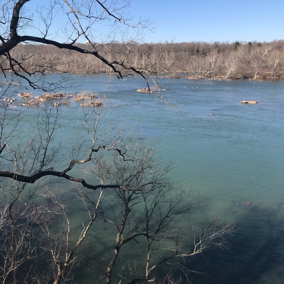 Meet your Posher, Rony - Picture 1 of 1